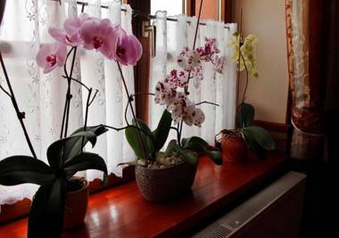 Határ Csárda Panzió