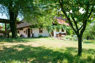 Fecskefészek Vendégház Őriszentpéter