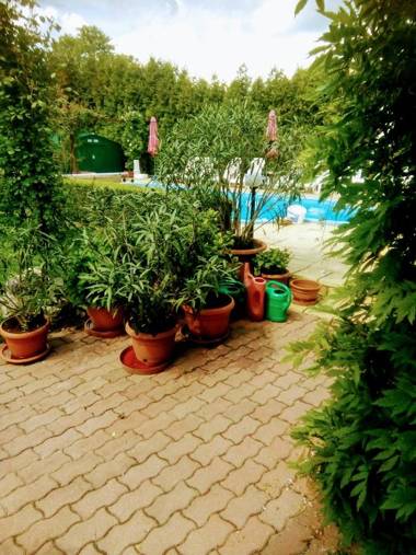 Mézesvölgy Vendégház