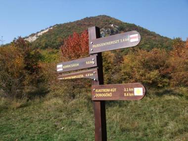 Oak Tree Apartment - Tölgy Lak