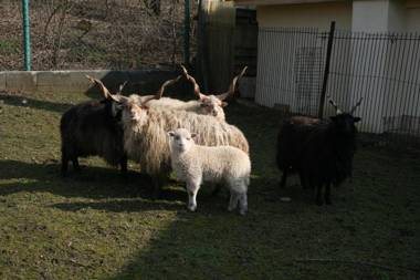 Malomdűlő Farmház