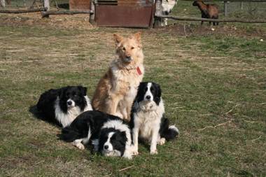 Malomdűlő Farmház