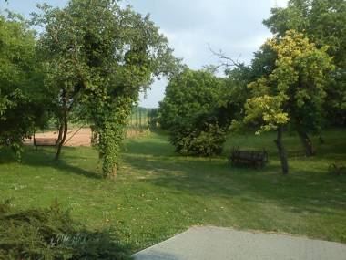 Borostyánkert Étterem & Vendégház