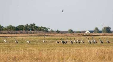 Sasfészek - Falusi szálláshely