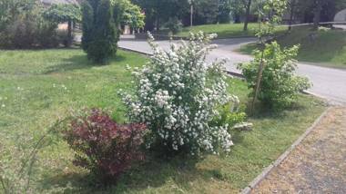 Gyöngyvirág Apartment