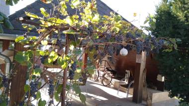 Füzesi Papa Vendégház