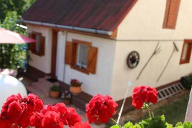 Small House Apartment