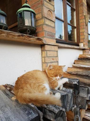 Édes Otthon Vendégház