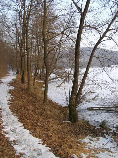 Kovácsszénája Vendégház