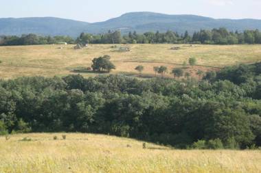 Harangvirág 36 Faház