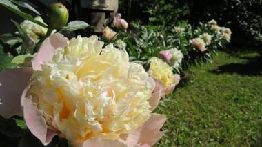 Tarjányi Vendégház