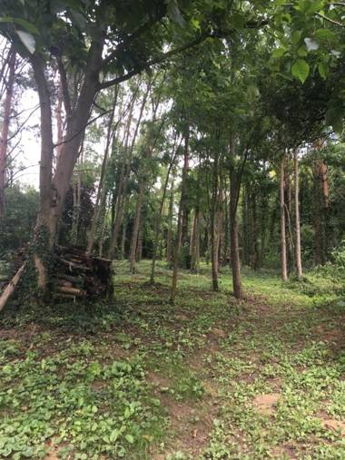 Csillagkert Vendégház