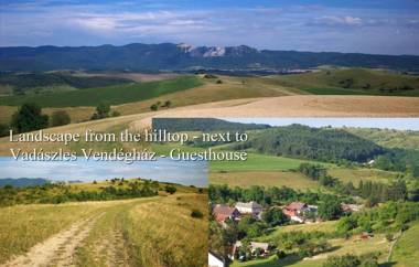 Vadászles Vendégház