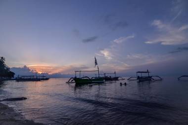 Aneka Lovina Villas & Spa