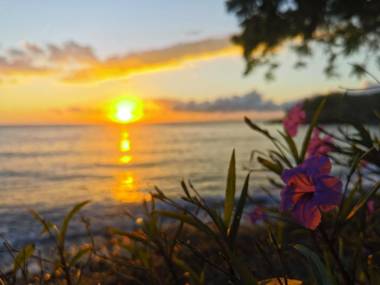 Mimpi Resort Tulamben