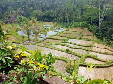 Adiwana Dara Ayu Villas