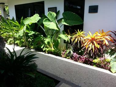 Kelapa Lovina Beach Villa