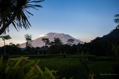 Pelangi Villas Sidemen