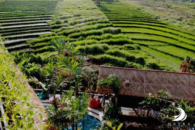 Matra Bali Surf Camp