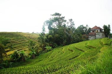 Yeh Panes Hot Spring Resort