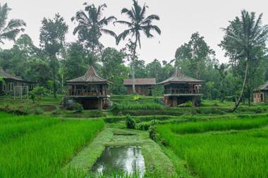 Tepi Sawah Lodge &amp; Retreat
