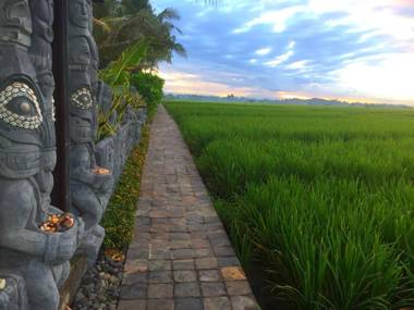 Absolute Beachfront Villa Laut