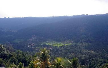 Bendesa Mas Homestay