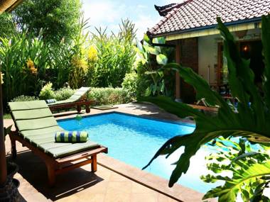 Dolphin at Lovina Beachhouse Villas