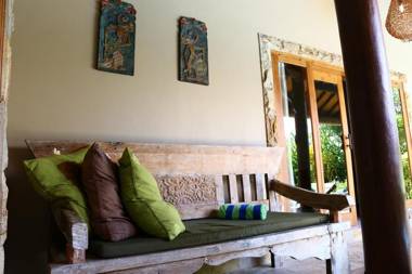 Dolphin at Lovina Beachhouse Villas