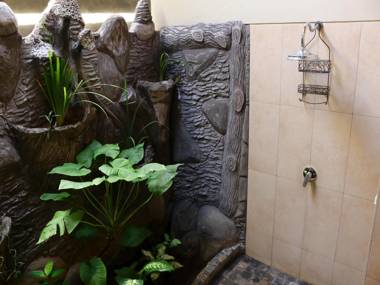 Dolphin at Lovina Beachhouse Villas