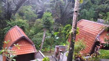 Bali Jungle Huts