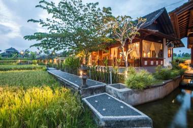 Amazing 4 bdrm Villa Tirta Padi w/Ricefield view