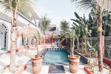 Sunflower Stay And Surf