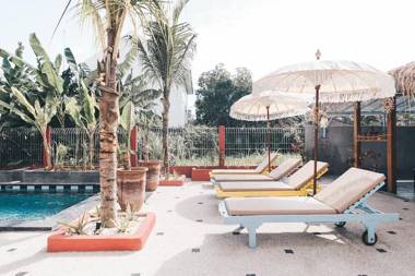 Sunflower Stay And Surf