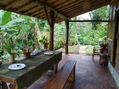 Bali mountain forest cabin