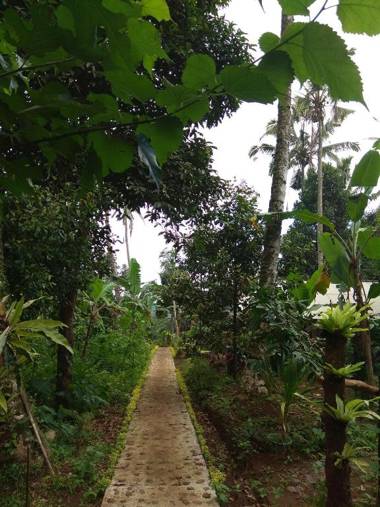 Bali mountain forest cabin