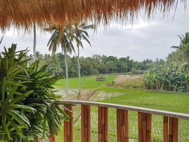 Coco Verde Bali Resort