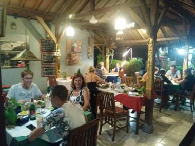 Barclona guesthouses lovina