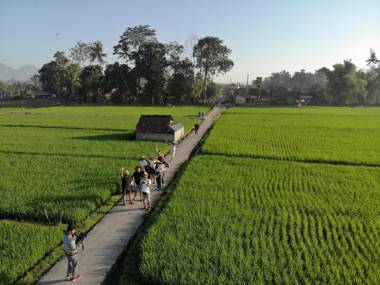 BAKUNGAN diJero Homestay