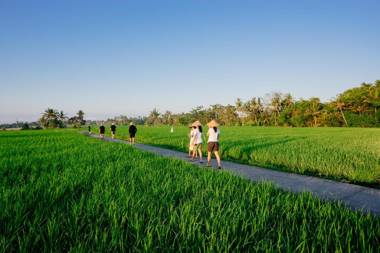 BAKUNGAN diJero Homestay