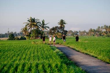 BAKUNGAN diJero Homestay