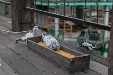 Munduk Heaven Luxury Villas