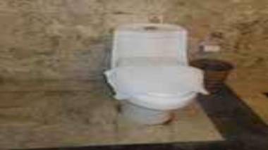 Monkey Forest Bungalow