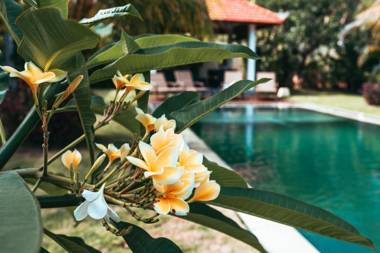 Bali Mynah Villas Resort