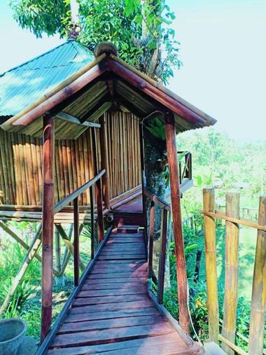 Bali Tree House
