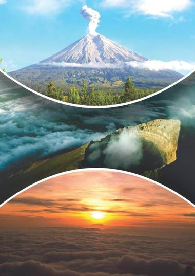 Venezia Homestay and Garden