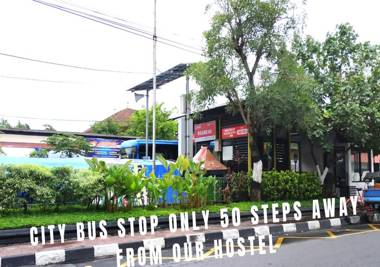 Bunk Bed and Breakfast