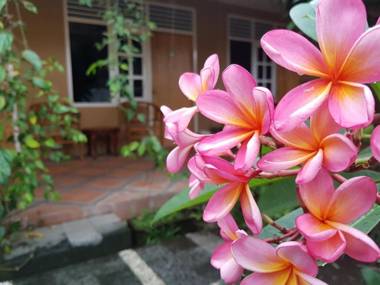 Omah Konco Yogyakarta