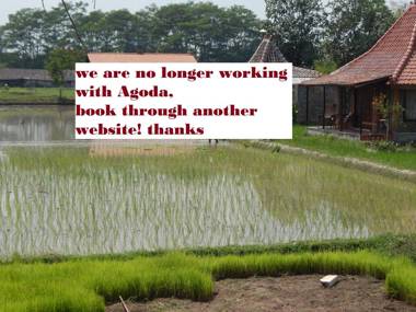 Alamanda family Villas Pool Yogyakarta