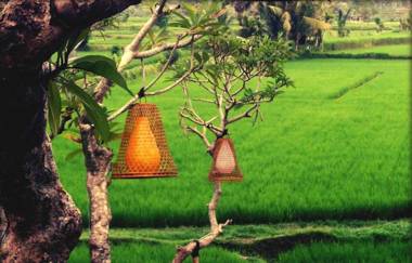 Ubud Padi Villas